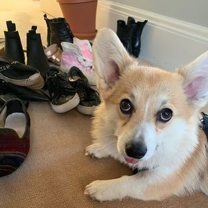 Meet your Posher, Taylor